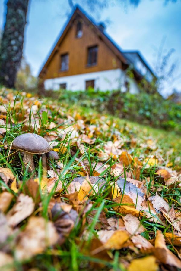Ferienwohnung U Stare Hajenky Jindrichov Exterior foto